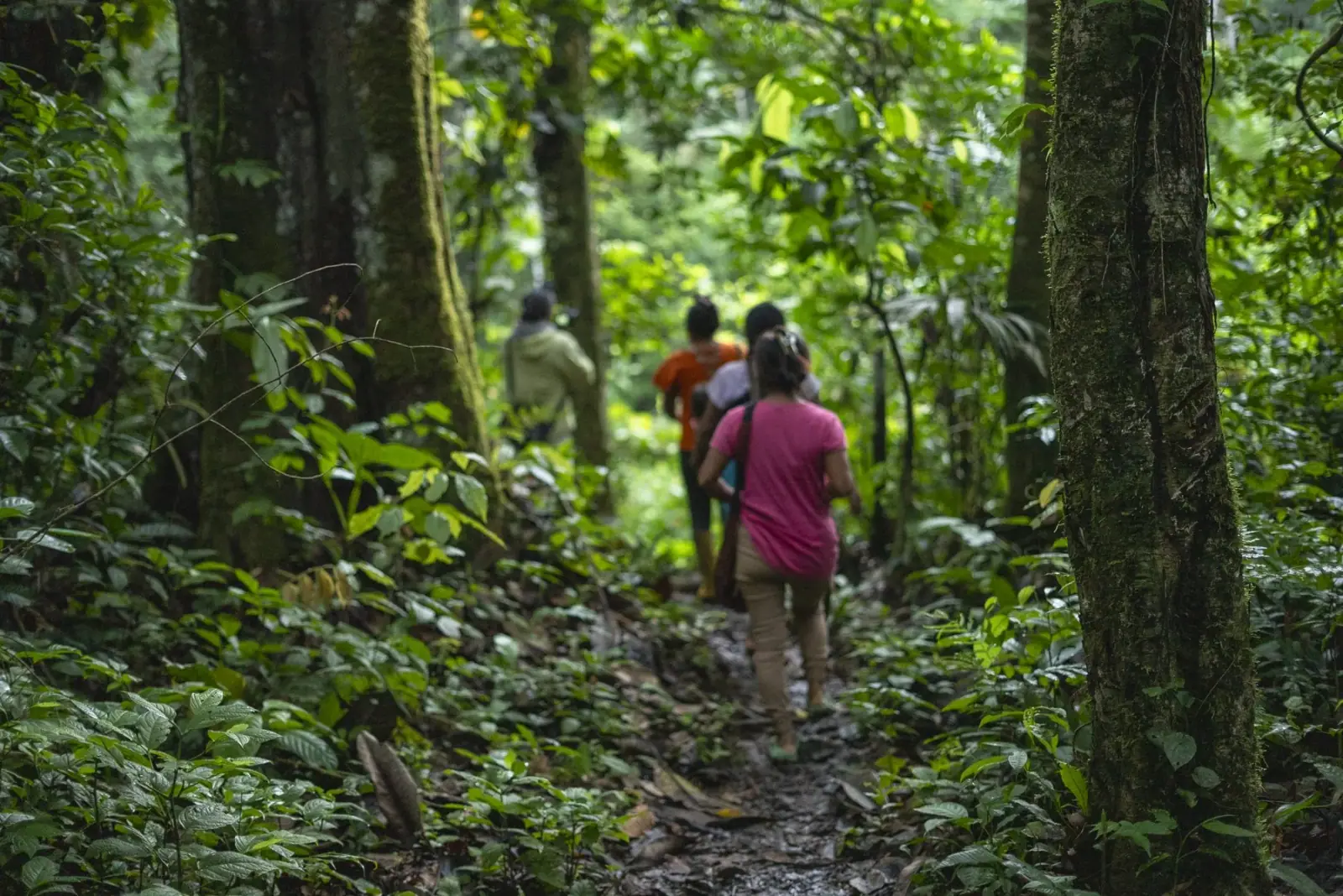 Camino hacia la mina de arcilla
