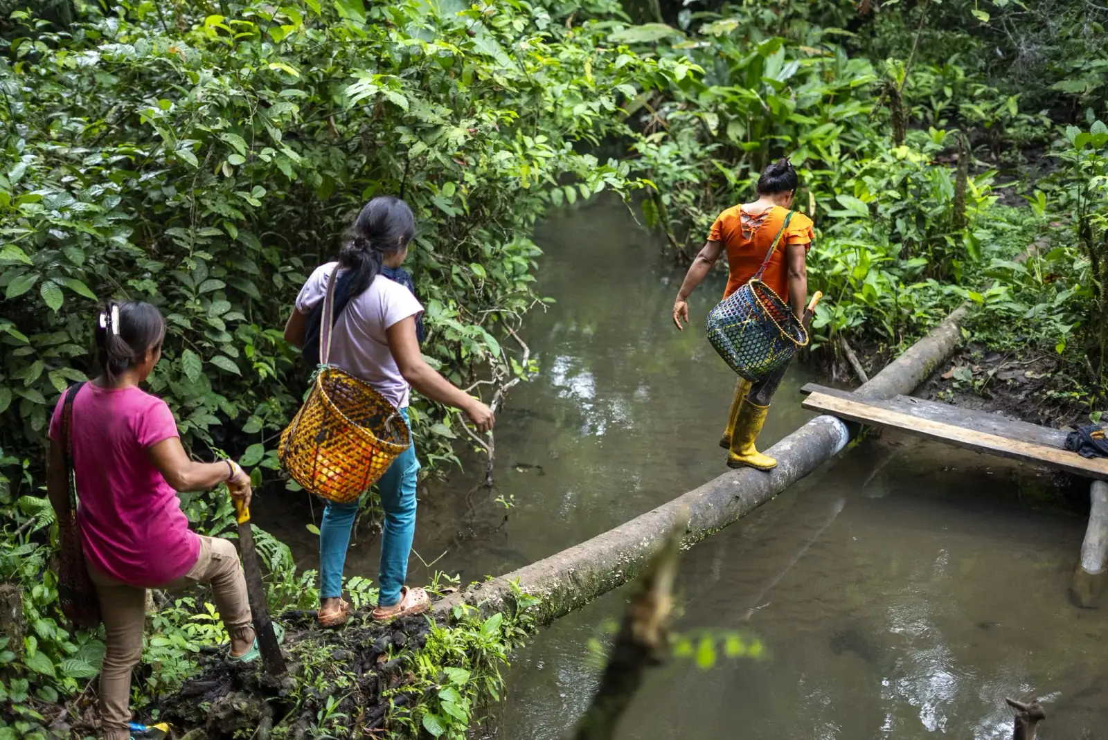 Mujer caminando en la selva de Patukmai hacia la zona de arcilla